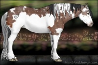 Horse Color:White Spotted Brown Splash Frame 