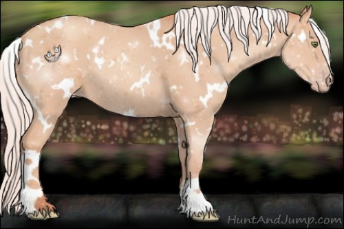 Horse Color:White Spotted Silver Sable Champagne 