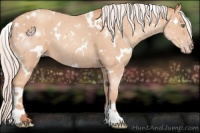 Horse Color:White Spotted Silver Sable Champagne 