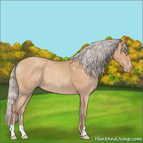 Horse Color:Silver Amber Champagne 