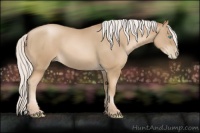 Horse Color:Silver Smoky Black Pearl 