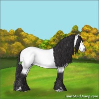 Horse Color:Buckskin Chinchilla Sabino Rabicano 