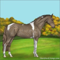 Horse Color:Chocolate Palomino Roan Tobiano 