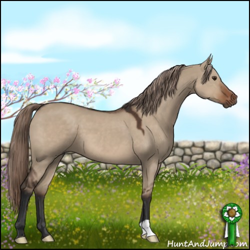 Horse Color:Liver Red Dun 
