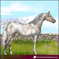 Horse Color:White Spotted Liver Red Dun Mushroom Rabicano 