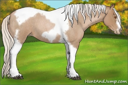 Horse Color:Silver Blue Roan Pearl Tobiano Frame 