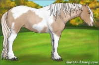 Horse Color:Silver Blue Roan Pearl Tobiano Frame 