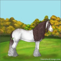 Horse Color:White Spotted Chocolate Brown Chinchilla 