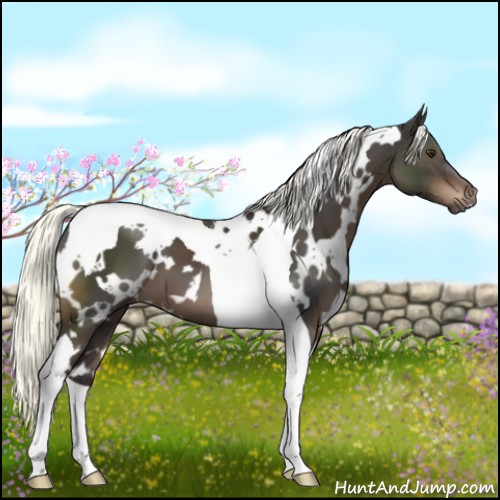 Horse Color:White Spotted Liver Chestnut Mushroom Tobiano 