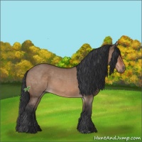 Horse Color:Brown Roan Dun 