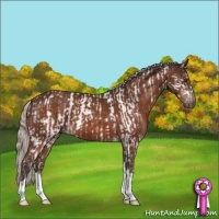 Horse Color:Silver Brown Sabino Splash Tobiano Frame Rabicano  and Silver Brown Tobiano 