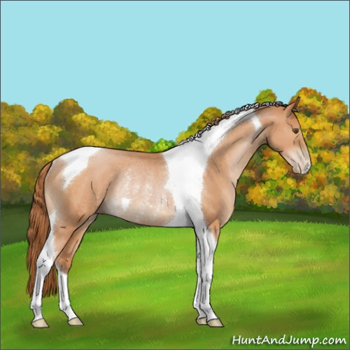Horse Color:Brown Pearl Tobiano Rabicano 