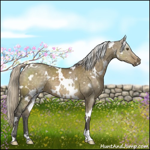Horse Color:White Spotted Chocolate Palomino Dun Mushroom 