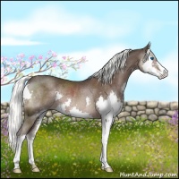 Horse Color:Liver Chestnut Mushroom Splash Rabicano 