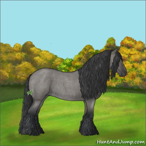 Horse Color:Grullo Roan 