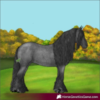 Horse Color:Blue Roan 