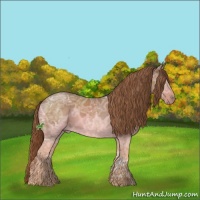 Horse Color:Red Ice Roan 