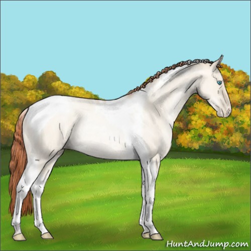 Horse Color:Sable Cream Champagne Pearl Dun Tobiano Rabicano 
