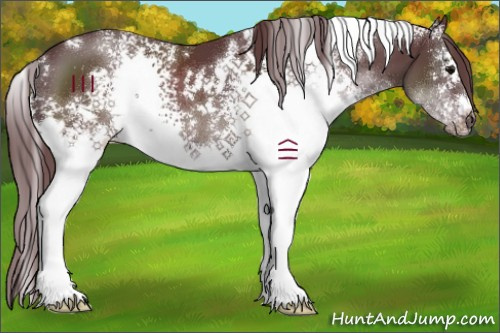 Horse Color:White Spotted Chocolate Black 