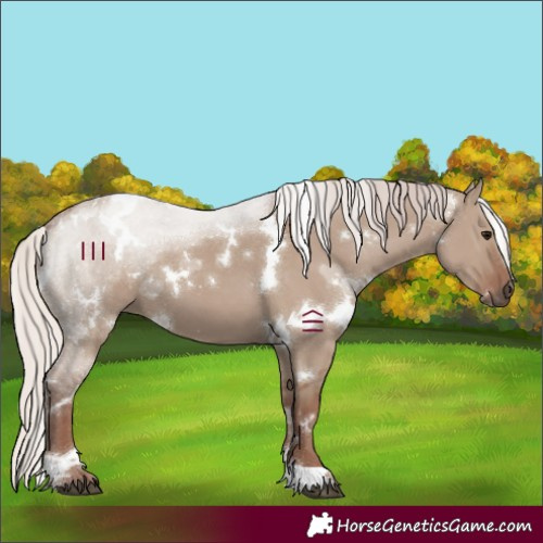 Horse Color:White Spotted Chocolate Silver Grullo