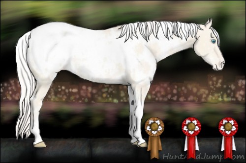 Horse Color:White Spotted Cremello Dun Appaloosa 