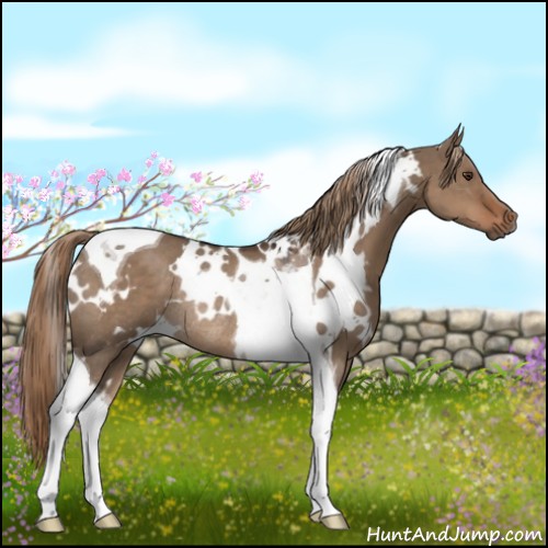 Horse Color:White Spotted Liver Red Dun Tobiano Rabicano