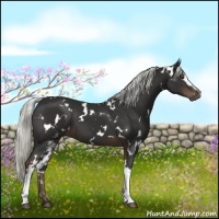 Horse Color:White Spotted Liver Chestnut Mushroom 