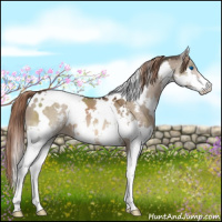 Horse Color:White Spotted Liver Red Dun Splash 
