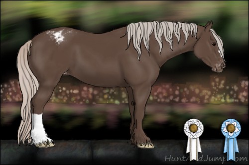 Horse Color:Silver Black Appaloosa 