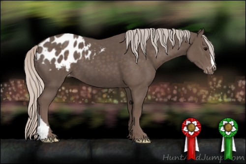 Horse Color:Silver Black Appaloosa 