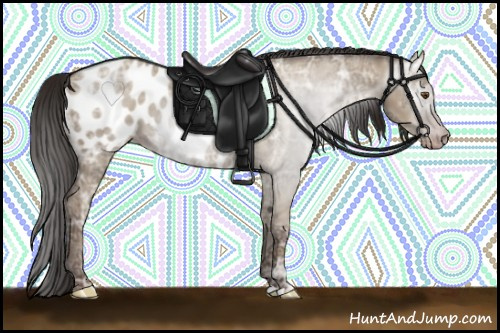 Horse Color:Gray Classic Champagne Ice Dun Appaloosa 