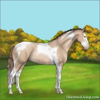 Horse Color:Brown Pearl Dun Splash Tobiano Rabicano 