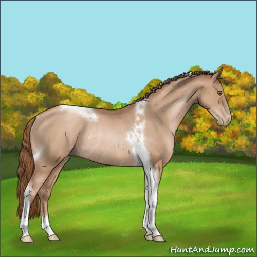 Horse Color:Liver Chestnut Pearl Tobiano Rabicano 