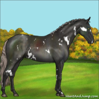 Horse Color:White Spotted Liver Chestnut Mushroom 