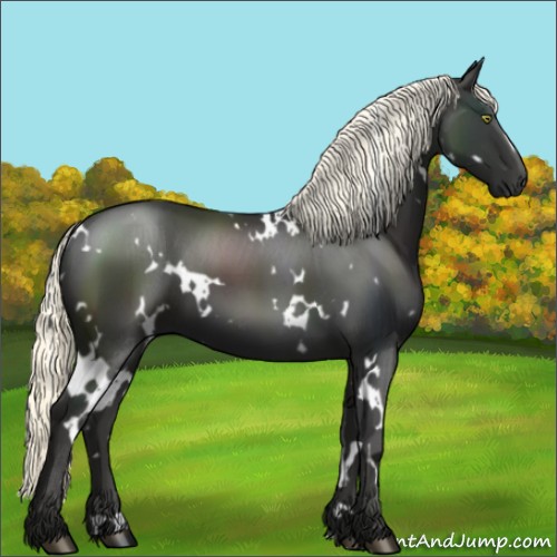 Horse Color:White Spotted Liver Chestnut Mushroom 