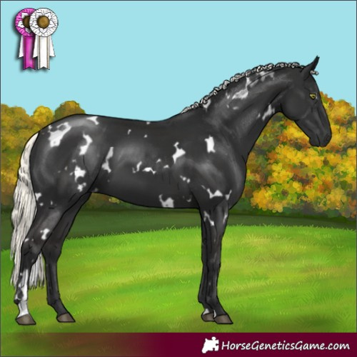 Horse Color:White Spotted Liver Chestnut Mushroom