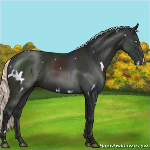 Horse Color:White Spotted Liver Chestnut Mushroom
