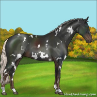 Horse Color:White Spotted Liver Chestnut Mushroom 
