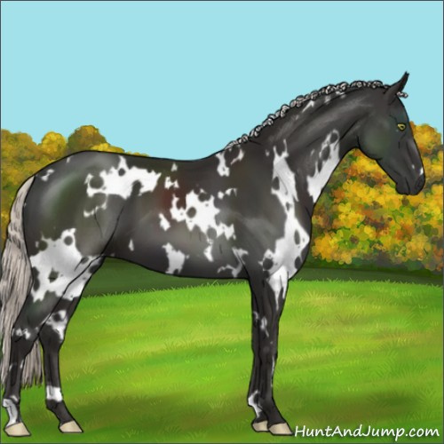 Horse Color:White Spotted Liver Chestnut Mushroom 