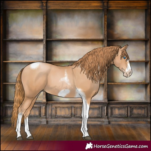 Horse Color:Chestnut Pearl Tobiano Frame 