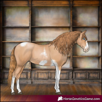 Horse Color:Chestnut Pearl Tobiano Frame 