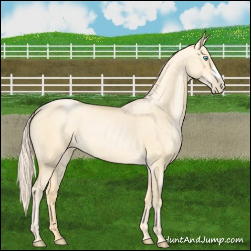 Horse Color:Palomino Pearl Dun