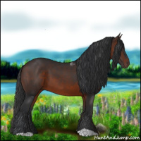 Horse Color:Brown 
