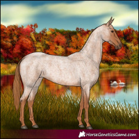 Horse Color:Red Roan 