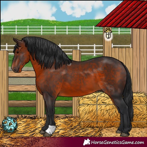 Horse Color:Brown 