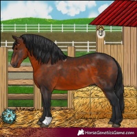 Horse Color:Brown 
