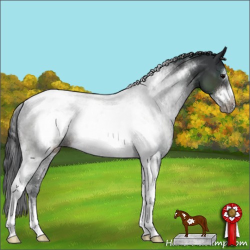 Horse Color:Brown Sabino Tobiano Frame Rabicano 
