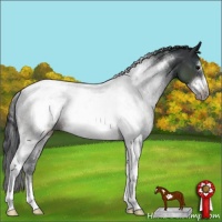 Horse Color:Brown Sabino Tobiano Frame Rabicano 