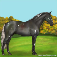 Horse Color:White Spotted Liver Chestnut Mushroom 