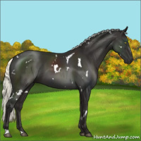 Horse Color:White Spotted Liver Chestnut Mushroom 